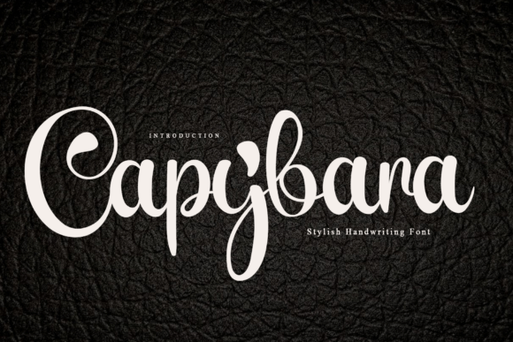 Capybara: A Script Font That Elevates Digital Branding