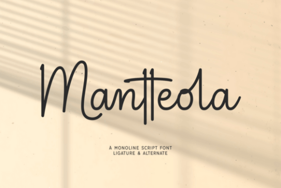Enhance Your Brand with the Right Font: Mantteola