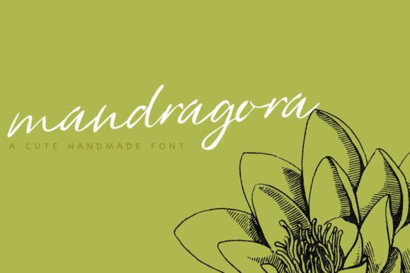 Mandragora: A Script Font for Memorable Branding and Digital Impact