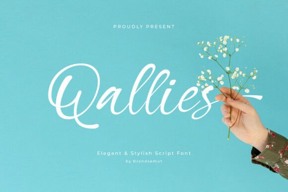 Qallies Script Font: A Designer’s Go-To for Campaign Creativity