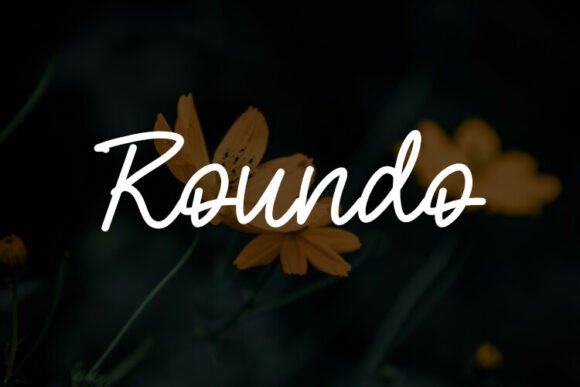 Roundo: A Script Font That Elevates Every Campaign