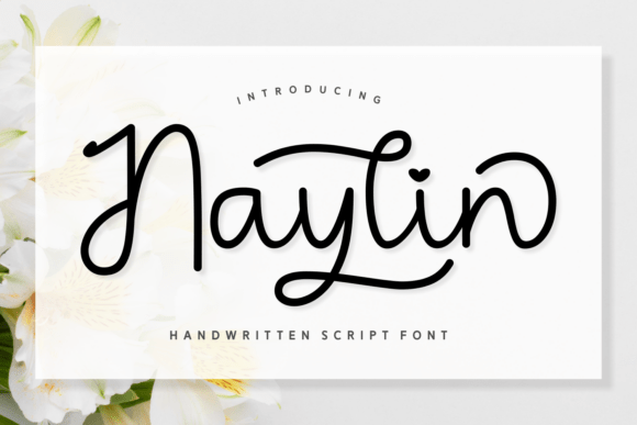 Testing Naylin for a Café Brand Identity